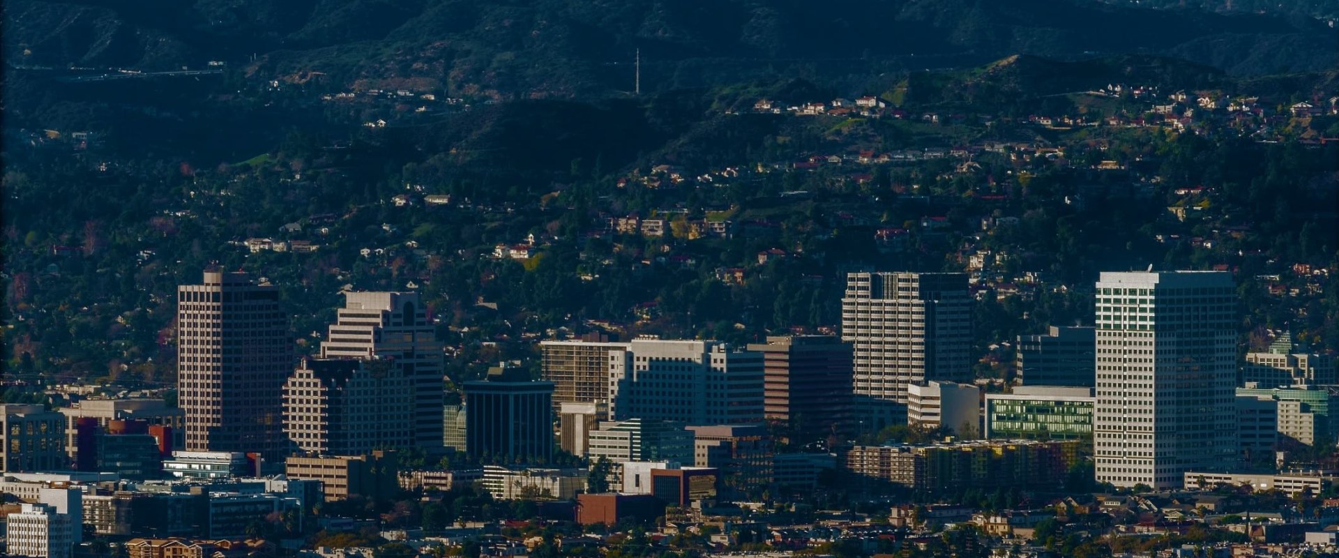 What Types of Community Services are Available in Glendale, CA?