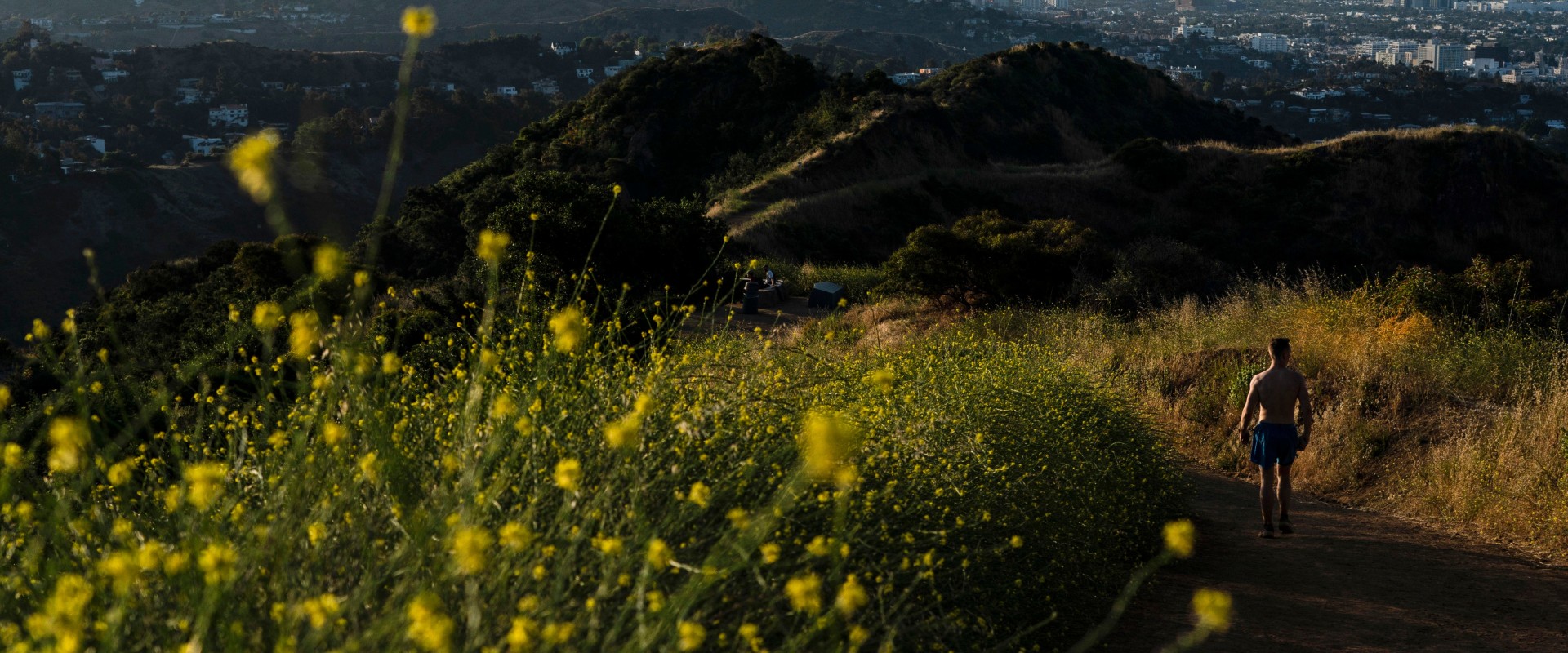 Grants for Community Services in Glendale, CA: Get the Funding You Need