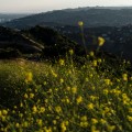 Grants for Community Services in Glendale, CA: Get the Funding You Need