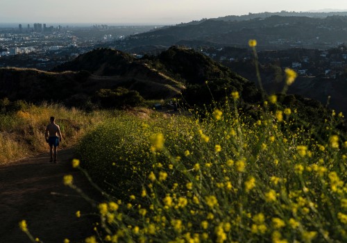 Grants for Community Services in Glendale, CA: Get the Funding You Need